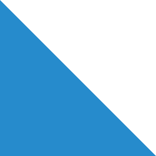 Zurich Flag
